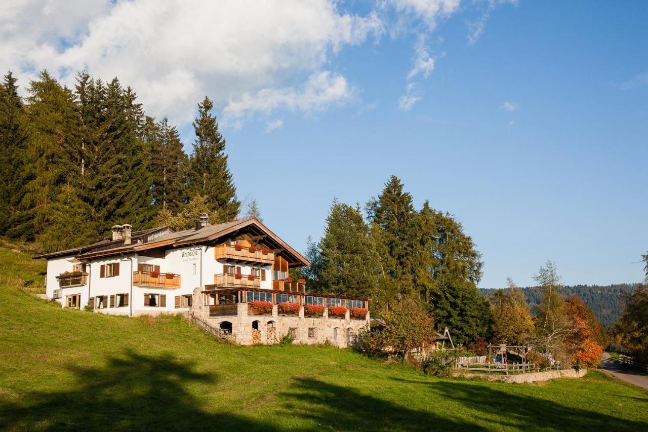 Hotel Restaurant Waldbichl Верано Экстерьер фото